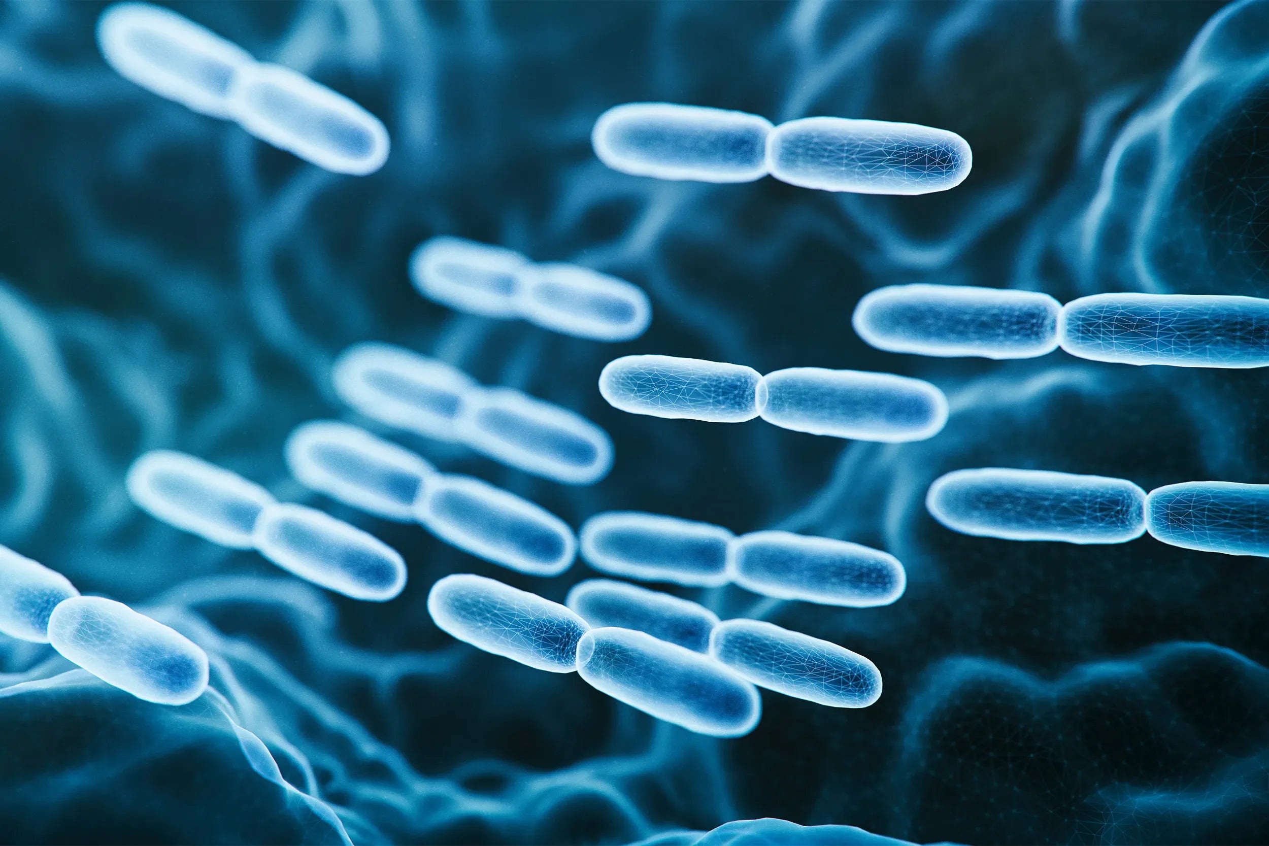 Beyond Digestion: Surprising Benefits of Probiotics