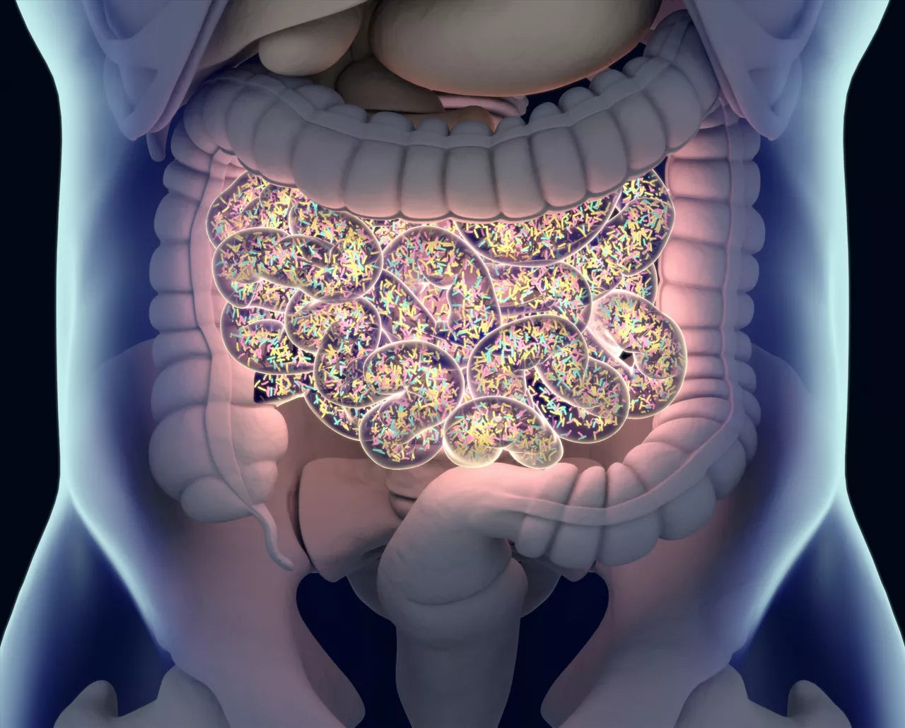 The gut microbiome